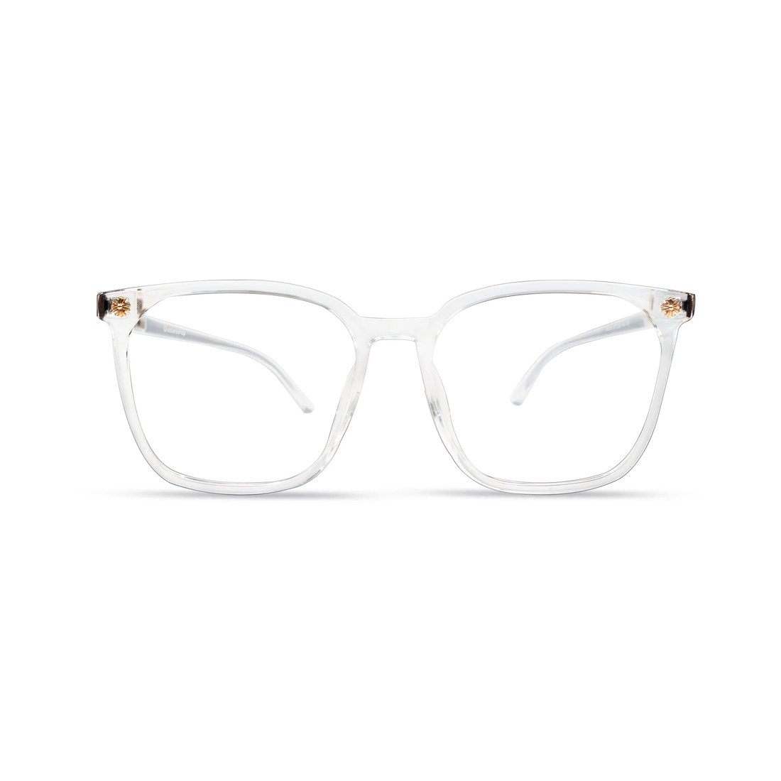Square Glasses FV101